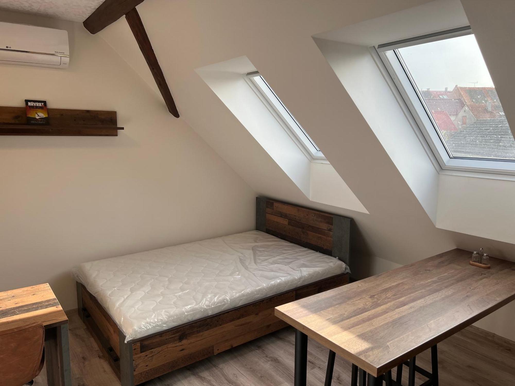 Ubytovani 1Kk Ve Zlonicich Slaný Exterior foto